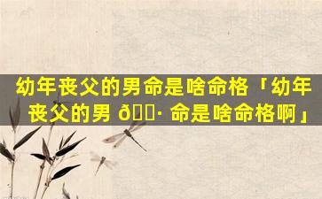 幼年丧父的男命是啥命格「幼年丧父的男 🕷 命是啥命格啊」